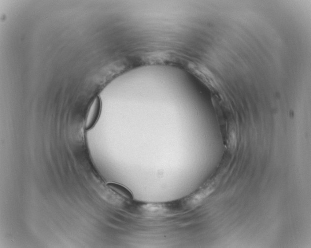 X0000089440477200707061413