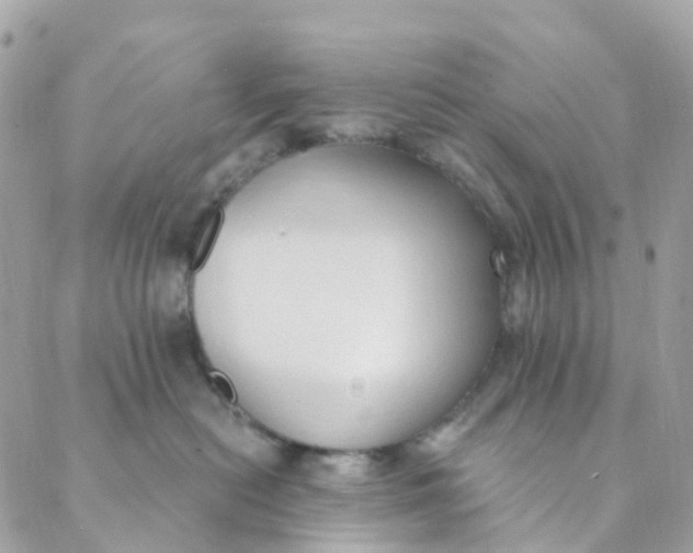 X0000089440478200707061413