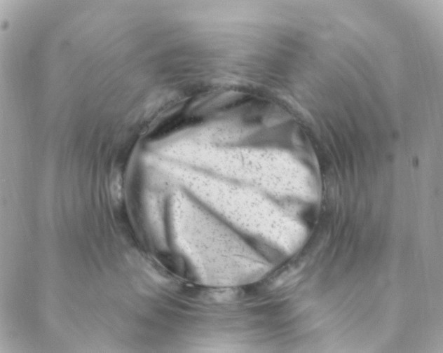 X0000089440479200707061413