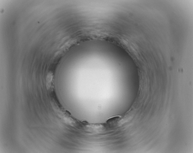 X0000089440480200707061413