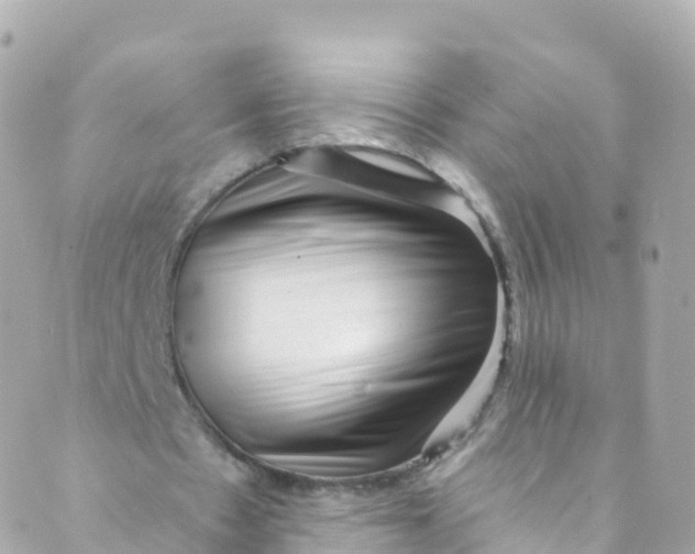 X0000089440481200707061412