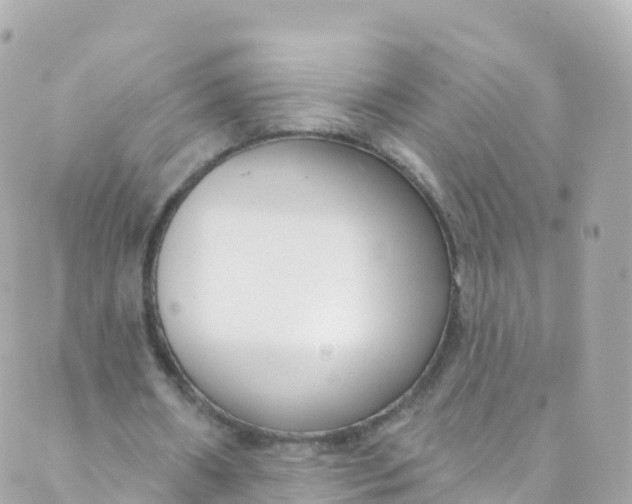 X0000089440482200707061412