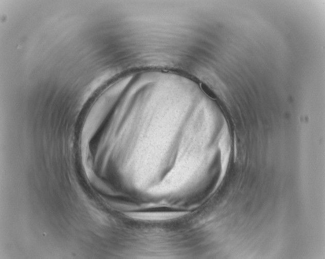 X0000089440483200707061412