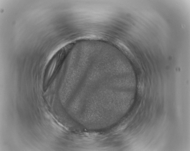 X0000089440484200707061412