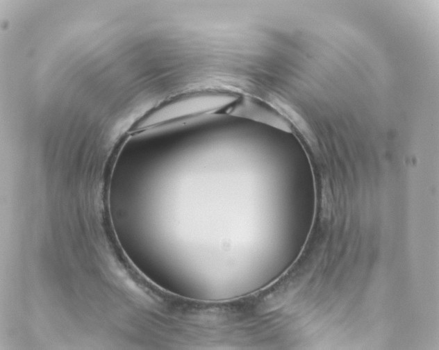 X0000089440485200707061412