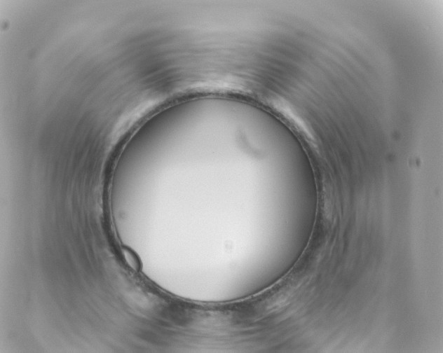 X0000089440486200707061412