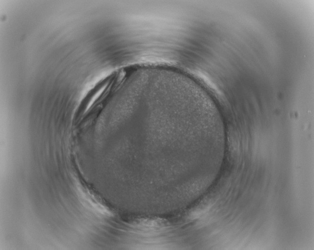 X0000089440488200707061412