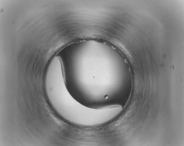 X0000089440489200707061412