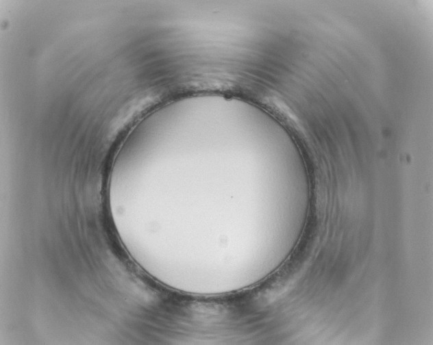 X0000089440490200707061412