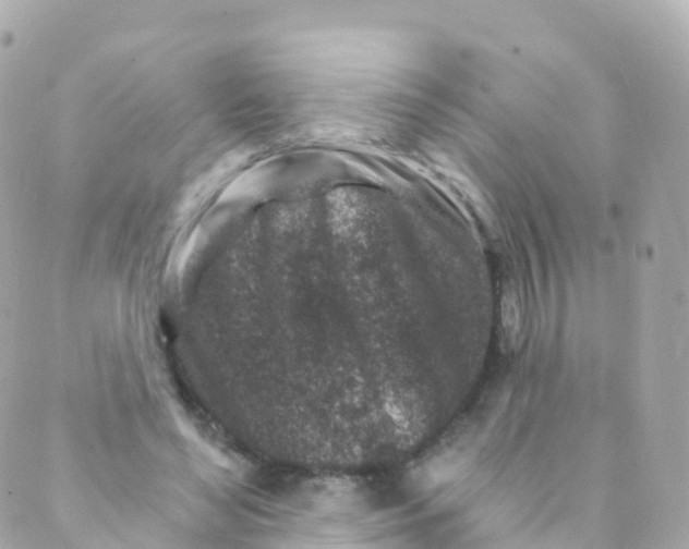 X0000089440492200707061412