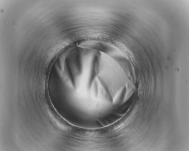 X0000089440493200707061412