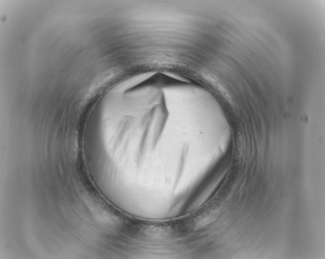 X0000089440494200707061412