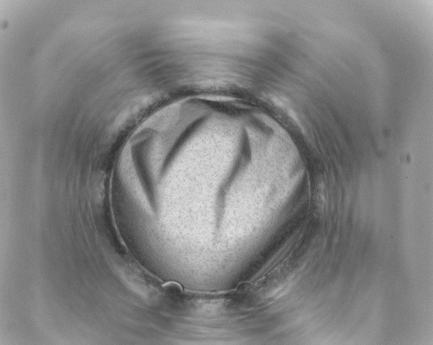 X0000089440495200707061412