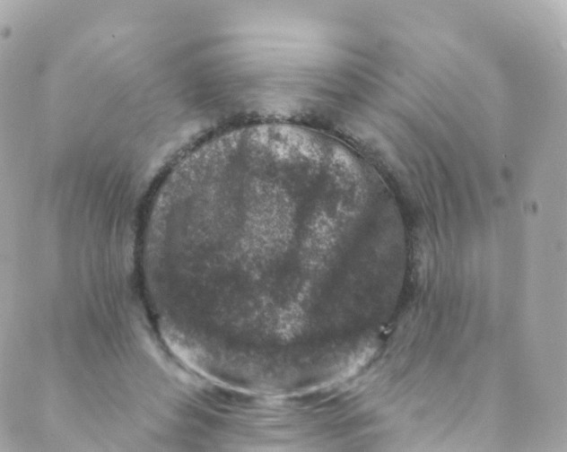 X0000089440496200707061412