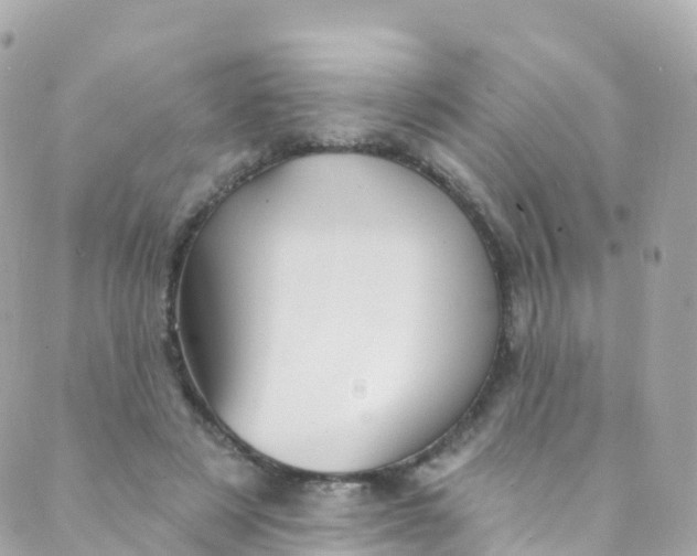 X0000089440497200707061412