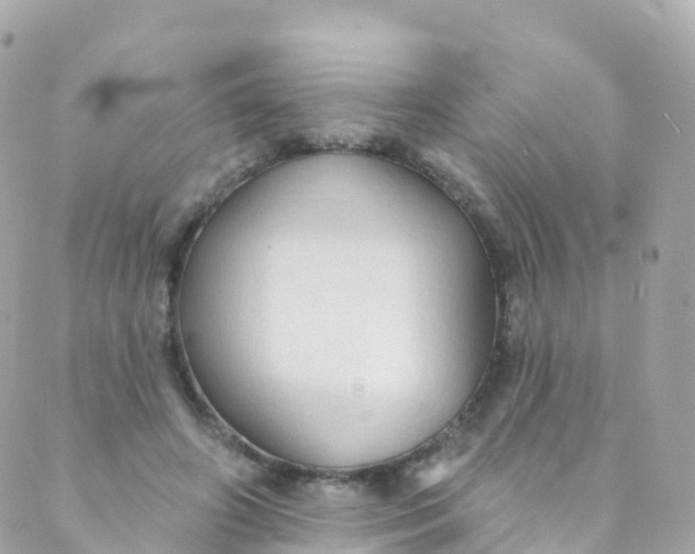 X0000089440498200707061412