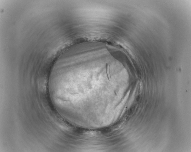 X0000089440499200707061412