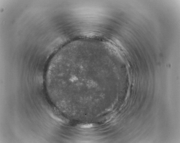 X0000089440500200707061412