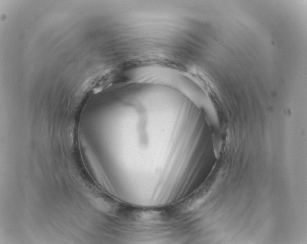 X0000089440501200707061412