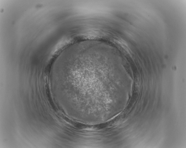 X0000089440503200707061412