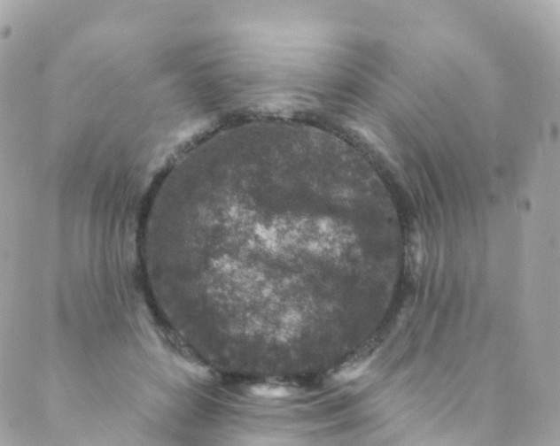 X0000089440504200707061412