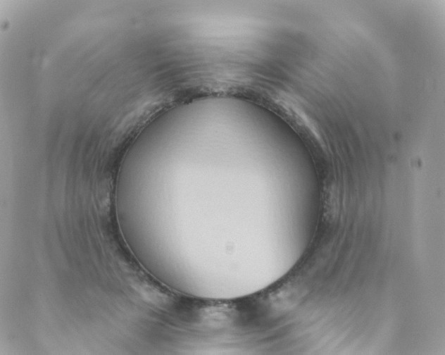 X0000089440505200707061412