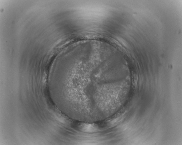 X0000089440507200707061412