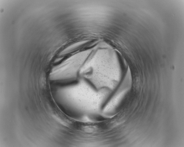 X0000089440508200707061412