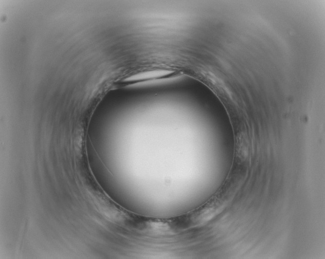 X0000089440509200707061412