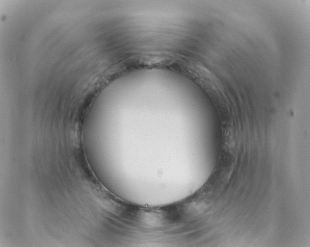 X0000089440510200707061412