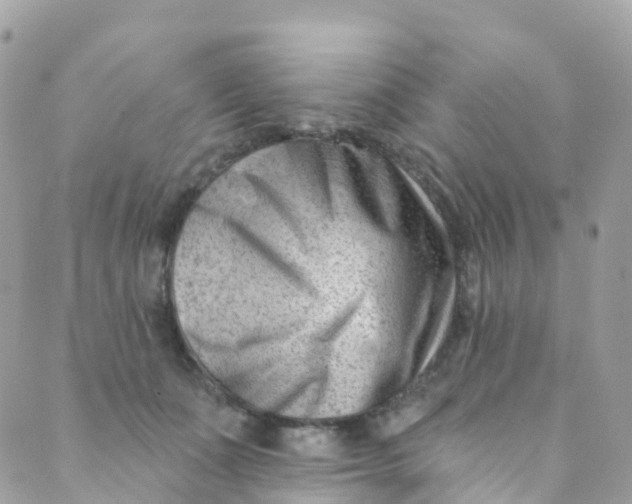 X0000089440511200707061412