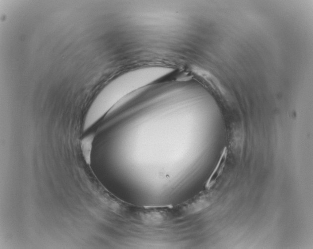 X0000089440513200707061412