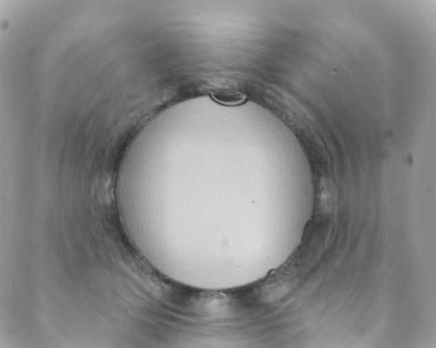 X0000089440514200707061412