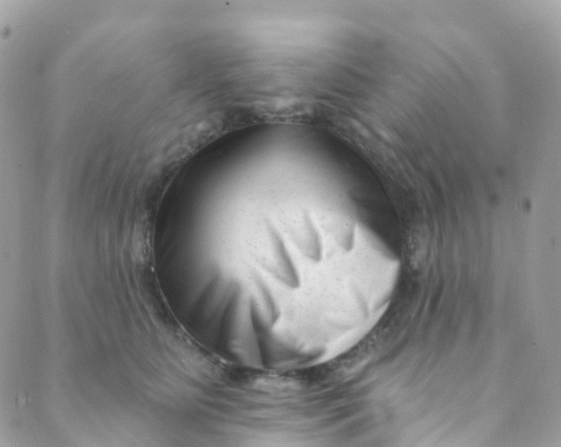 X0000089440515200707061412