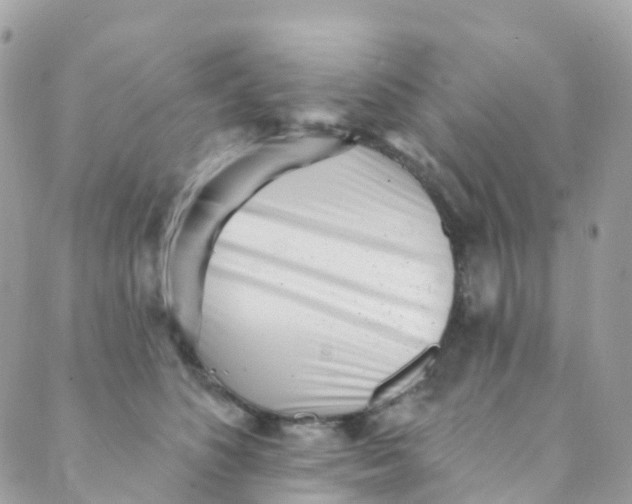 X0000089440516200707061412