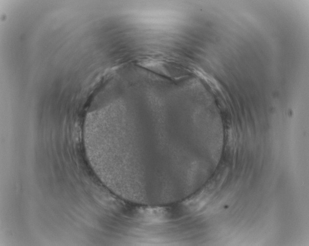 X0000089440517200707061411