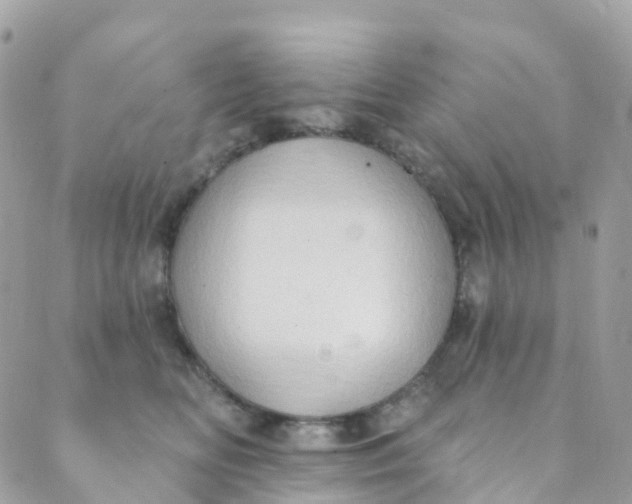 X0000089440518200707061411