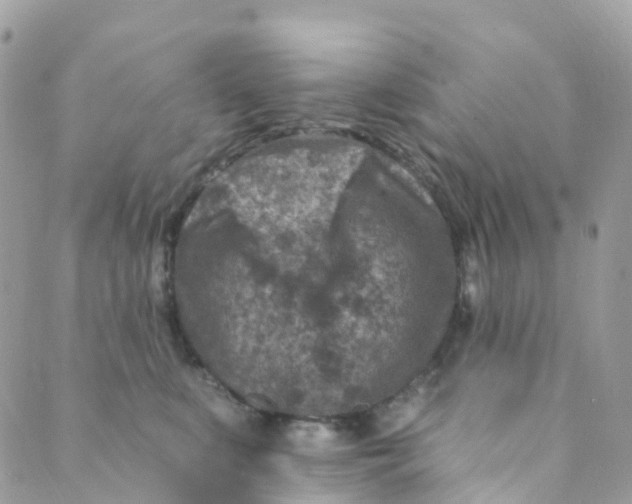 X0000089440519200707061411