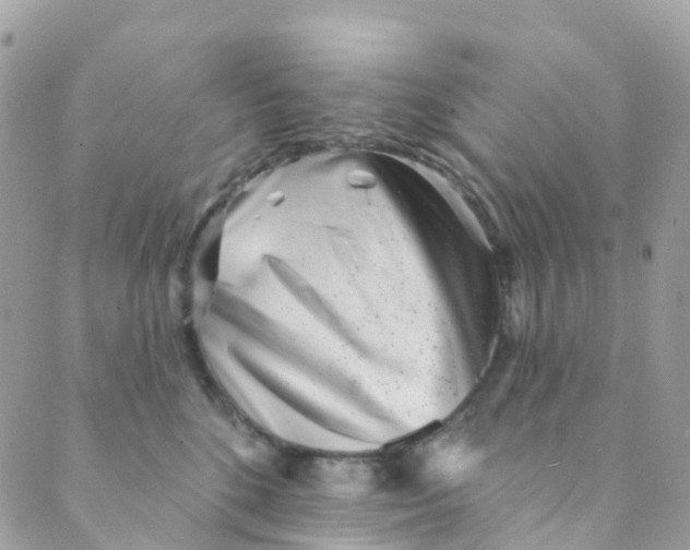 X0000089440520200707061411