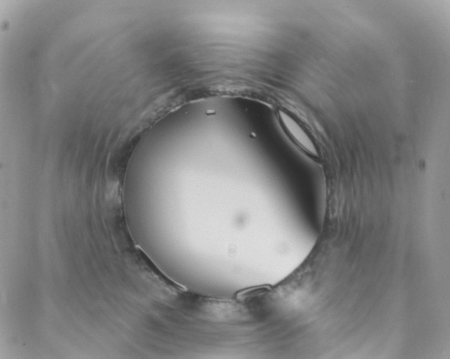 X0000089440521200707061411