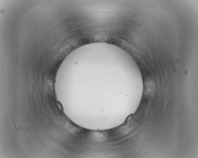 X0000089440522200707061411