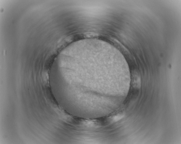 X0000089440523200707061411