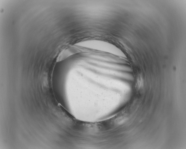 X0000089440524200707061411