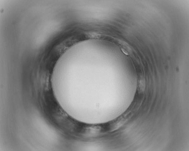 X0000089440525200707061411