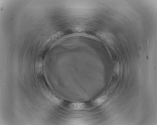 X0000089440526200707061411