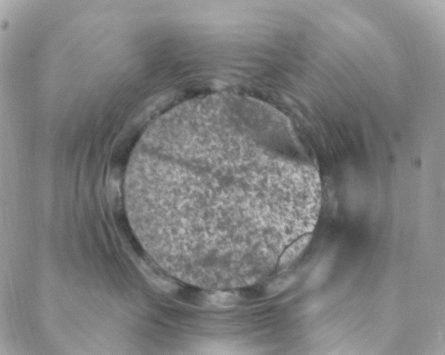 X0000089440527200707061411