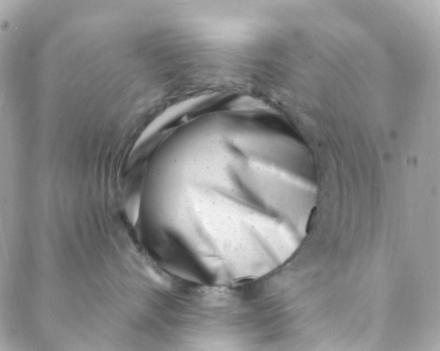 X0000089440528200707061411