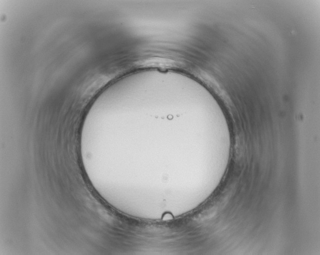 X0000089440529200707061411