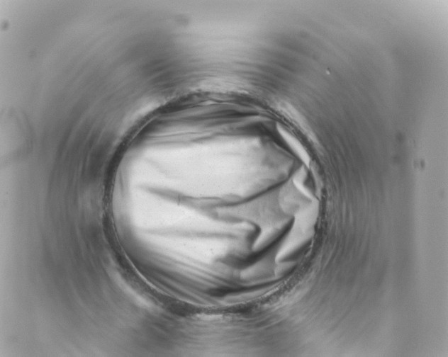 X0000089440530200707061411