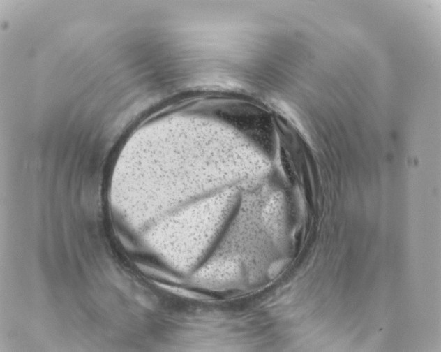 X0000089440531200707061411